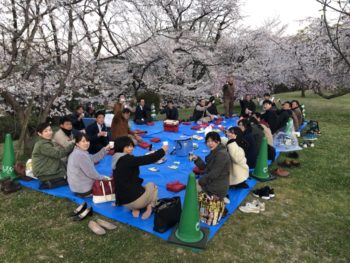 お花見🌸🍶