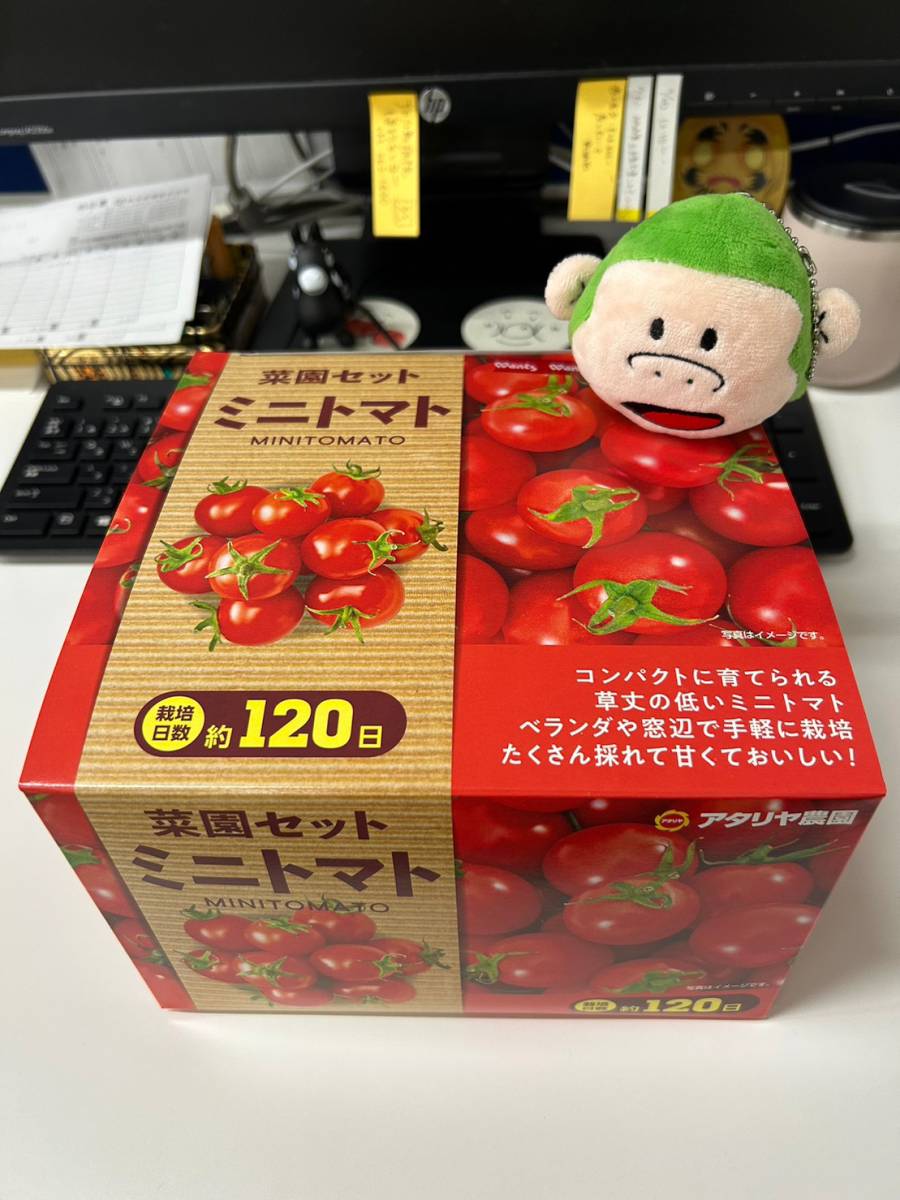 頑張れ！トマ子!!🍅