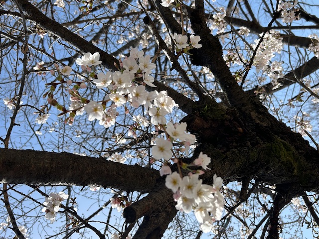 やまを越え、たにを越え…